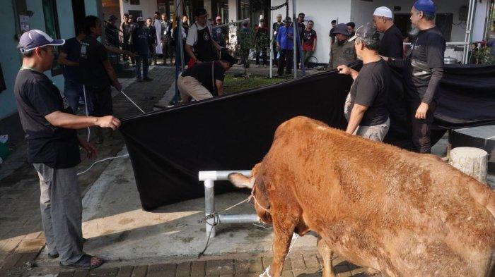 Umat Muslim menyaksikan proses penyembelihan hewan kurban pada Iduladha 1446 H, di halaman Masjid Al-Amanah, Rancamanyar Regency 1, Desa Rancamanyar, Kecamatan Baleendah, Kabupaten Bandung, Jawa Barat, Jumat (6/6/2025).