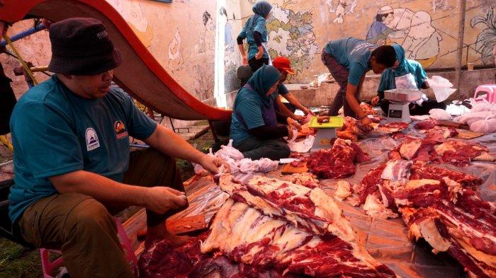 Petugas memotong, menimbang, dan mengemas daging kurban pada Iduladha 1446 H, di halaman belakang Masjid Al-Ukhuwwah, Kota Bandung, Jawa Barat, Sabtu (7/6/2025).
