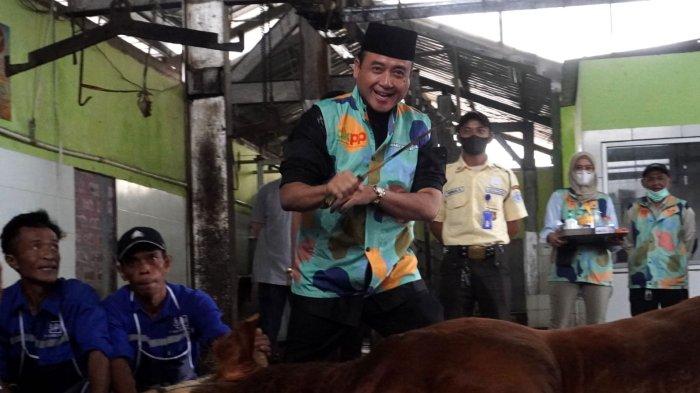 Wakil Wali KOta Bandung, Erwin memainkan golok sejenak sebelum menyembelih Sapi kurban Presiden Prabowo Subianto, di ruang penyembelihan Rumah Potong Hewan (RPH) Arjuna, Kota Bandung, Sabtu (7/6/2025).