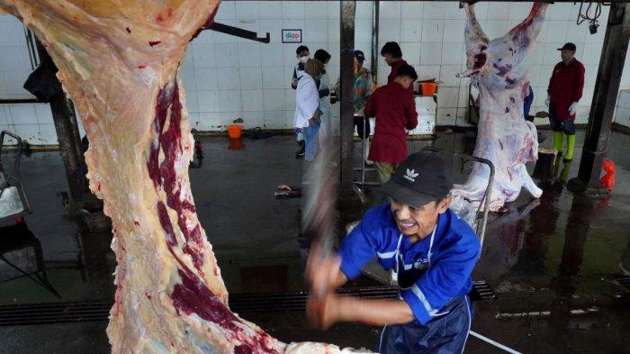 Petugas melakukan pemotongan Sapi kurban Presiden Prabowo Subianto yang sudah disembelih dalam beberapa bagian, di ruang penyembelihan Rumah Potong Hewan (RPH) Arjuna, Kota Bandung, Sabtu (7/6/2025).