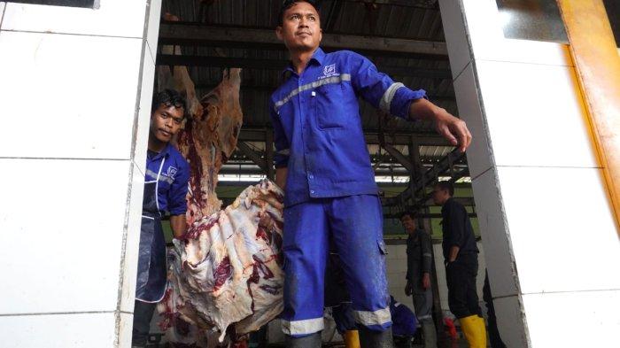 Petugas memindahkan potongan besar Sapi kurban Presiden Prabowo Subianto ke kendaraan bak terbuka untuk dibawa ke Masjid Al-Ukhuwwan, di ruang penyembelihan Rumah Potong Hewan (RPH) Arjuna, Kota Bandung, Sabtu (7/6/2025).