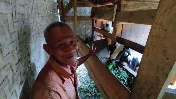 Prinsip Beternak Abah Amid, Ayah Rohimah ART Garut Korban Majikan Jahat ...