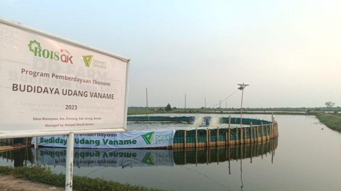 Dompet Dhuafa Banten mengembangkan budidaya udang Vaname