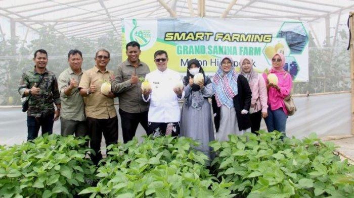 Wakil Bupati Subang, Agus Masykur Rosyadi memanen buah melon di Kebun Wisata Grand Sakina Farm Subang, Selasa (3/1/2023).