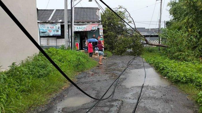 Tiang listrik dan pohon ukuran besar tumbang di Perumahan Grandmetro Pamengkang, Kabupaten Cirebon, Jumat (1/3/2024). Akibat peristiwa itu satu tembok rumah warga rusak di bagian depan.