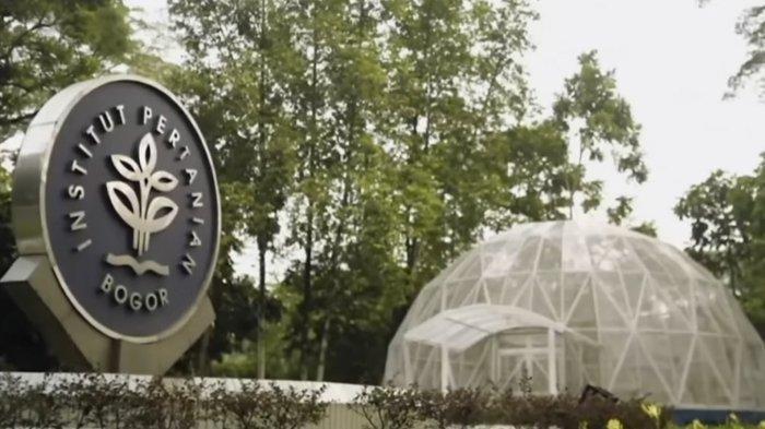 Ilustrasi info masuk IPB - daftar jurusan dengan daya tampung berbanyak di IPB pertimbangan peluang lolos SNBP 2024