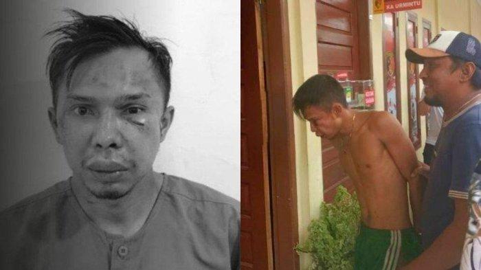 Indra Septriaman alias IS (26) pembunuh gadis penjual gorengan di Padang Pariaman yang viral. Penangkapan pembunuh Nia Kurnia Sari (18) itu berlangsung secara dramatis, di mana Indra Septriaman sempat sembunyi di loteng, dan hanya memakai kolor hijau saja.
