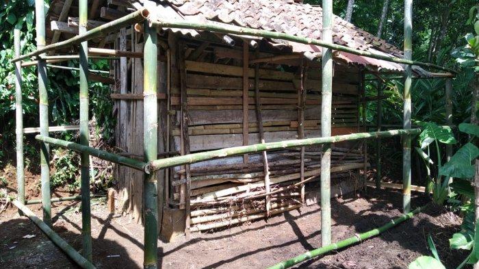 Untuk menghindari terjadinya pemangsaan oleh macan tutul penghuni hutan Gunung Sawal, kandang domba milik warga di Dusun Sukamaju, Desa Talagasari, Kawali, Rabu (6/7/2022) akan dipasang kawat berduri.
