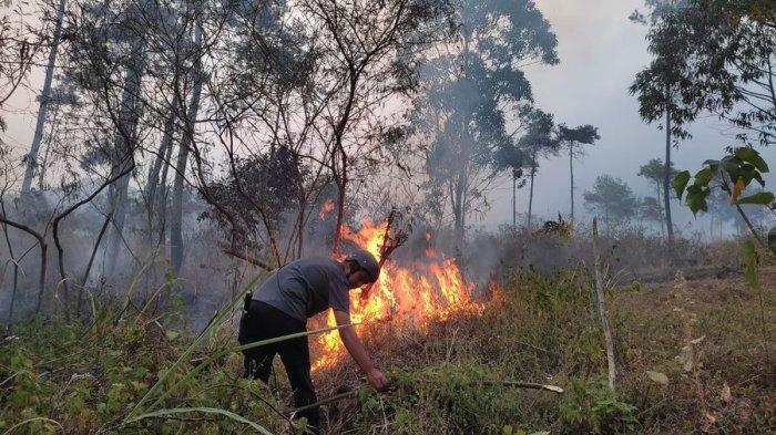 Masyarakat  Peduli Api Garut membantu proses pemadaman lahan gambut yang terbakar di kaki Gunung Guntur Kabupaten Garut, Jawa Barat, Kamis (7/9/2023).