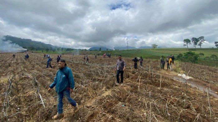 Walhi Jabar Soroti Kerusakan Kebun Teh Pangalengan Seluas 150 Hektare