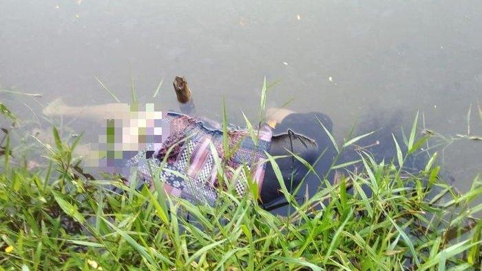 Mayat perempuan ditemukan mengambang di pinggir Sungai Ciputrapinggan, Babakan, Pangandaran, Kamis (9/5/2024).
