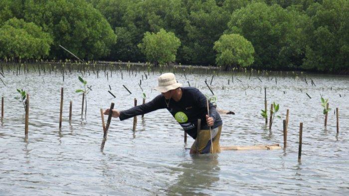 Bio Farma berkolaborasi dengan Yayasan WANADRI melakukan penanamam 4000 mangrove dalam rangka memperingati Hari Bumi Sedunia tahun 2024 di area pesisir pantai utara Jawa,kawasan Mayangan, Kabupaten Subang, Jawa Barat pada akhir April 2024.
