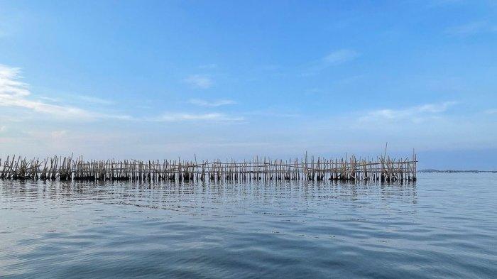 Penampakan pagar laut di Pulau C, Jakarta Utara. Pihak Dinas KPKP mengungkapkan tengah menyelidiki siapa pemiliknya.