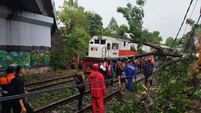 Pohon tumbang menimpa rel kereta api di Kampung Sindangsari, Kelurahan Cigugur Tengah, Kecamatan Cimahi Tengah, Kota Cimahi, Rabu (25/10/2023) sore.