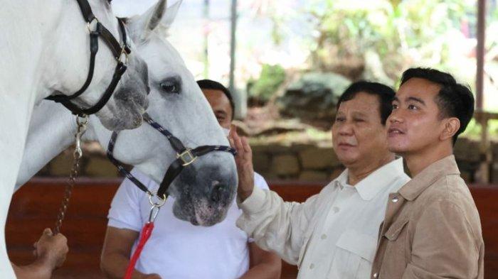 Ketua Umum Partai Gerindra Prabowo Subianto saat mengajari Wali Kota Solo Gibran Rakabuming Raka berkuda di arena kuda Padepokan Garuda Yaksa, Hambalang, Jawa Barat, Sabtu (18/6/2022).