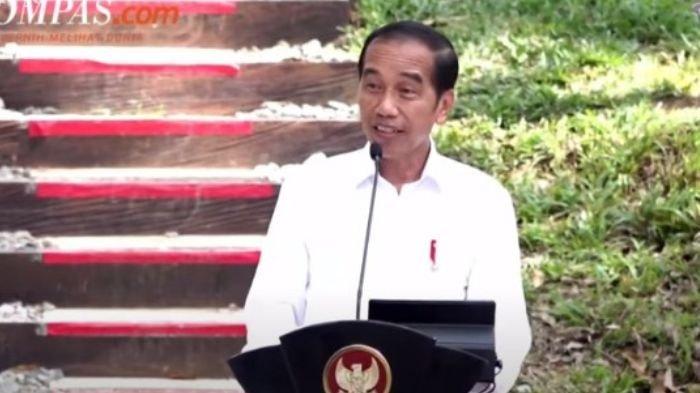 Presiden Jokowi ikuti tren 'pinjam dulu seratus'saat berada di kawasan Ibu Kota Nusantara (IKN), Kamis (2/11/2023).