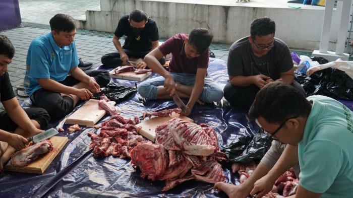 Memperingati Hari Raya Idul Adha 1445 Hijriah yang jatuh pada tanggal 17 Juni 2024, PLN Unit Induk Pembangunan Jawa Bagian Tengah (PLN UIP JBT) menyumbangkan sebanyak 52 hewan kurban yang dagingnya dibagikan kepada masyarakat yang berhak dan membutuhkan.