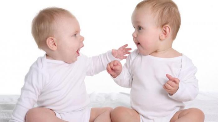 Ilustrasi bayi kembar