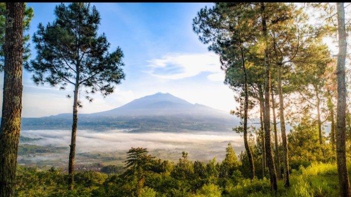 Suasana indah dari Objek Wisata Bukit Pamoroan di Desa Sedaraja, Kecamatan Cingambul, Kabupaten Majalengka. Terlihat di kejauhan Gunung Ciremai.