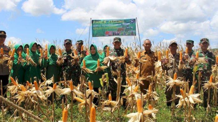Panen Raya