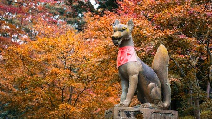 Kuil Fushimi Inari yang terletak di Kyoto Jepang.