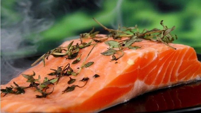 Ilustrasi ikan salmon