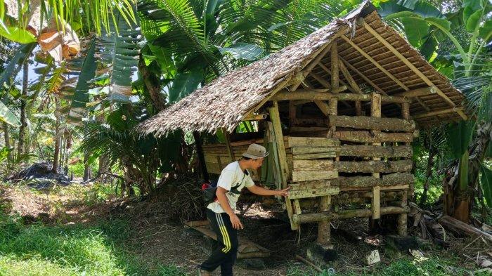 DIMANGSA ANJING - Suasana kandang domba milik peternak di Desa Desa Sukajaya Kecamatan Cimerak Kabupaten Pangandaran, Minggu 9 Februari 2025. Sudah 19 domba yang mati dimangsa anjing liar dalam sepekan terakhir.