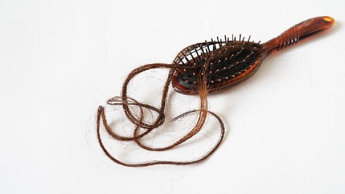 ilustrasi - rambut rontok dapat diatasi dengan daun sirih