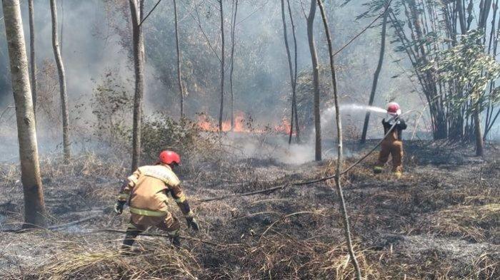 Petugas pemadam kebakaran berupaya memadamkan api yang membakar lahan kering yang dipenuhi pohon bambu di Pamulihan, Sumedang, Senin (25/9/2023) pagi. 