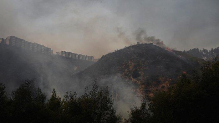Pemandangan kebakaran hutan yang melanda perbukitan di Quilpe, Viña del Mar, Chili, diambil pada 3 Februari 2024. Wilayah Valparaoso dan Viña del Mar, di Chili tengah, dibangunkan pada hari Sabtu dengan jam malam parsial untuk memungkinkan pergerakan jumlah pengungsi dan pemindahan peralatan darurat di tengah serangkaian kebakaran yang belum pernah terjadi sebelumnya, lapor pihak berwenang.