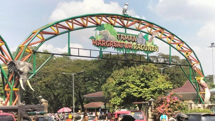 Taman Margasatwa Ragunan dipadati pengunjung saat hari kedua lebaran 2023 yakni pada Minggu (23/4/2023). (Tribunnews.com/Abdi Ryanda Shakti).