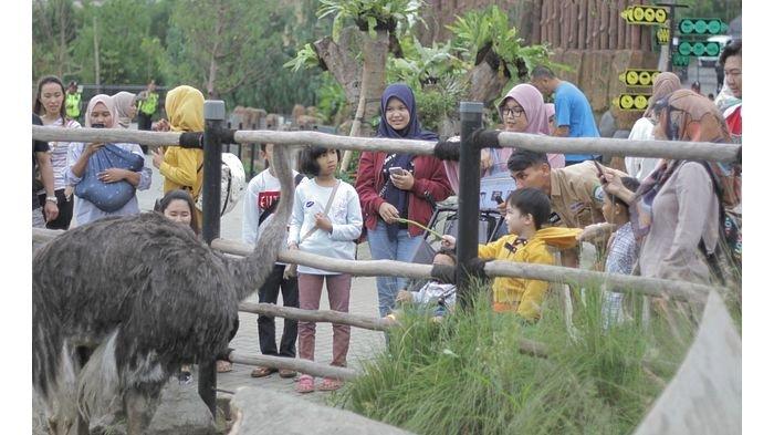 Selama libur Natal dan Tahun Baru (nataru) 2020 Lembang Park and Zoo (LPZ) dipadati pengunjung.