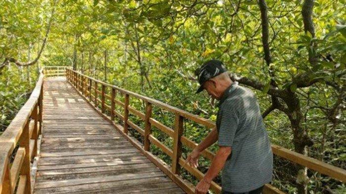 Pemandangan indah di obyek wisata Mangrove Sebala, Kabupaten Natuna, Kepri.