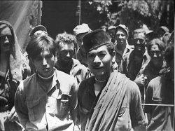 Yang Chil Sung atau Yang Chil-seong alias Komarudin. Pria asli Korea ini merupakan pahlawan kemerdekaan Indonesia yang beraksi di wilayah Garut.