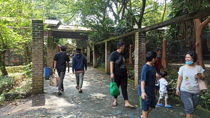 suasana Bandung Zoo saat lebaran