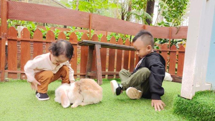 Suasana pengunjung yang bermain dengan hewan di Rabbit Forest