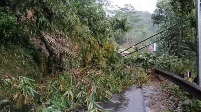 AMBROL - Tebing setinggi 15 longsor yang berlokasi di Kampung Babakan Sari, Desa Kutawaringin, Salawu, Kabupaten Tasikmalaya, Sabtu (28/6/2025).