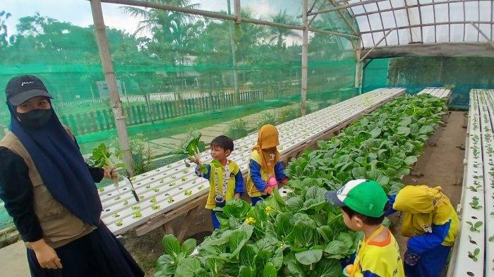 Jendela Alam, tempat wisata ini memiliki konsep wisata edukasi yang memungkinkan anak-anak untuk bisa mengeksplor hal-hal baru seperti bercocok tanam hingga memberi makan hewan serta kegiatan lainnya.