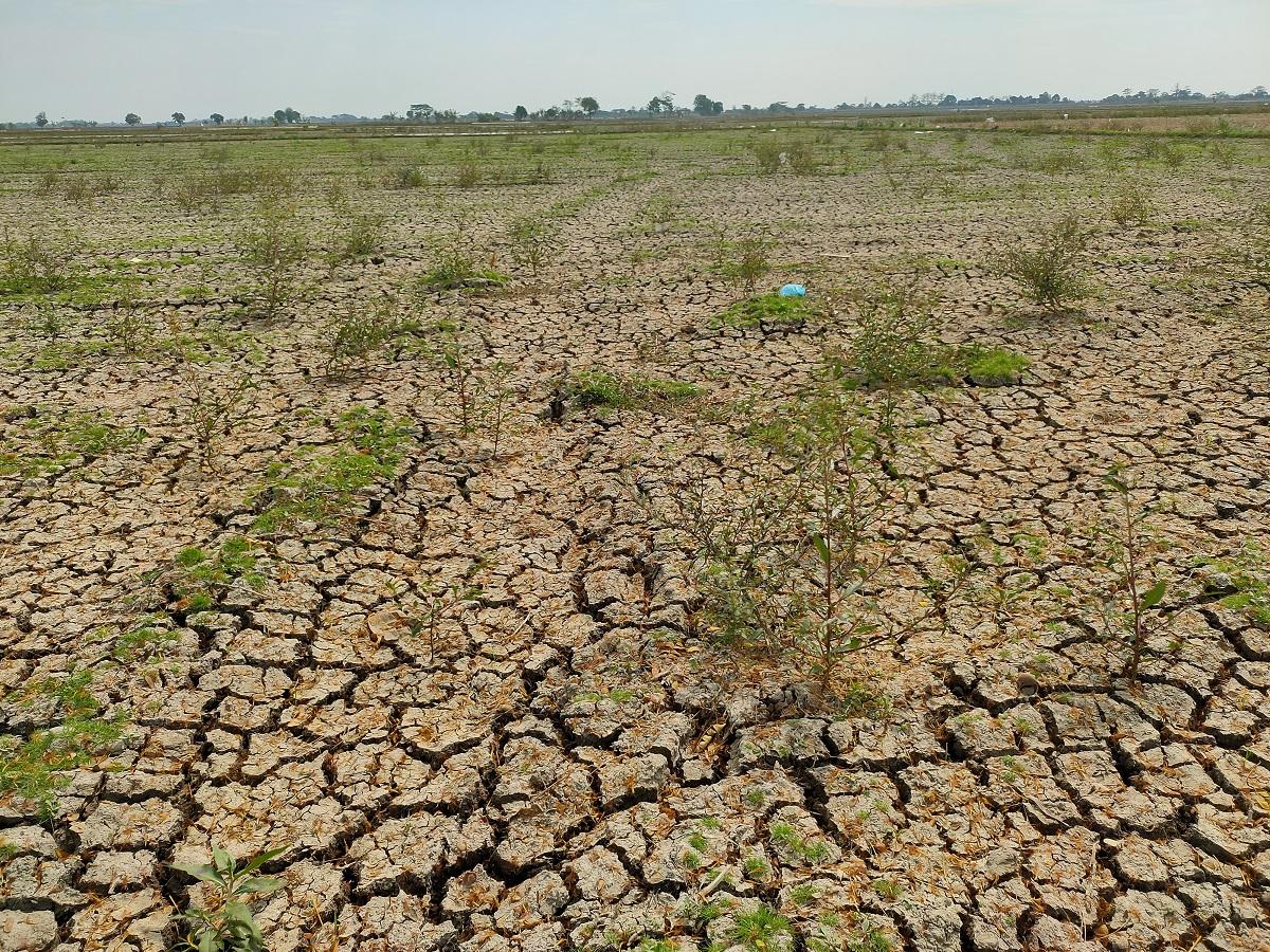 Bandung Dikepung El Nino, Warga 4 Kecamatan Krisis Air Bersih