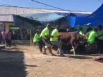 Sapi-mengamuk-saat-hendak-dikurbankan-pada-hari-Iduladha-di-Kabupaten-Cianjur.jpg