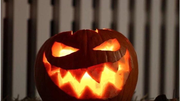 Ilustrasi labu halloween. 