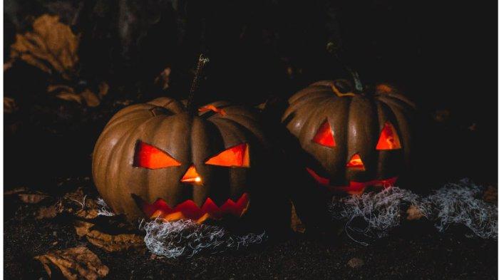 Ilustrasi labu halloween. 