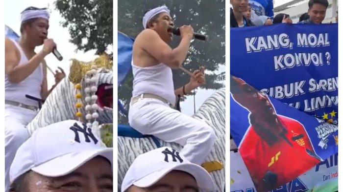 NAIK MAUNG PUTIH - Gubernur Jawa Barat, Dedi Mulyadi, menunggangi maung putih simbol Raja Prabu Siliwangi saat merayakan pawai Persib Bandung juara Liga 1 2025. (Instagram bandungtren).