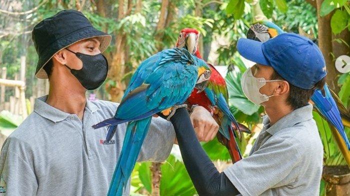 Jakarta Bird Race 2025, Kembalikan Burung dan Pohon Langka ke Alam Asli