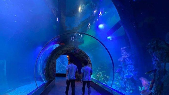 
Oceanarium BXSea Bintaro. 