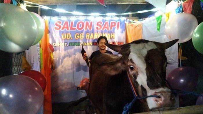 Proses perawatan hewan kurban di Salon Sapi, Tanjung Priok, Jakarta Utara. (1) 