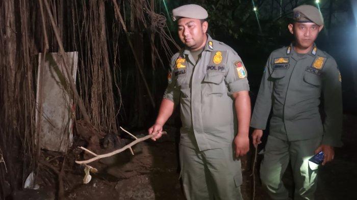Personel Satpol PP Jakarta Timur saat menunjukkan bekas alat kontrasepsi yang ditemukan di Hutan Kota UKI Cawang, Kebon Pala, Makasar, Selasa (25/7/2023).