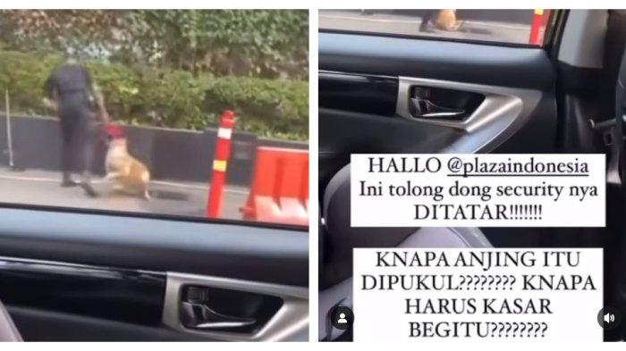 Seorang petugas sekuriti melakukan pemukulan terhadap seekor anjing penjaga di Mal Plaza Indonesia, Tanah Abang, Jakarta Pusat.