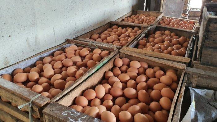 Stok pedagang telur ayam di salah satu toko di Mustikajaya, Kota Bekasi, Sabtu (27/8/2022).