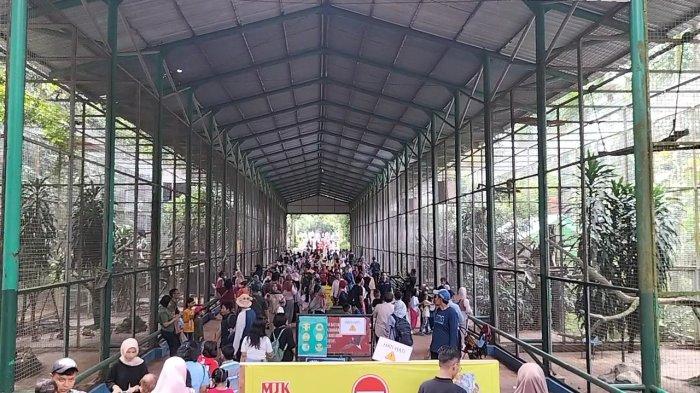 Suasana di Taman Margasatwa Ragunan, Pasar Minggu, Jakarta Selatan pada hari pertama libur lebaran, Kamis (11/4/2024).